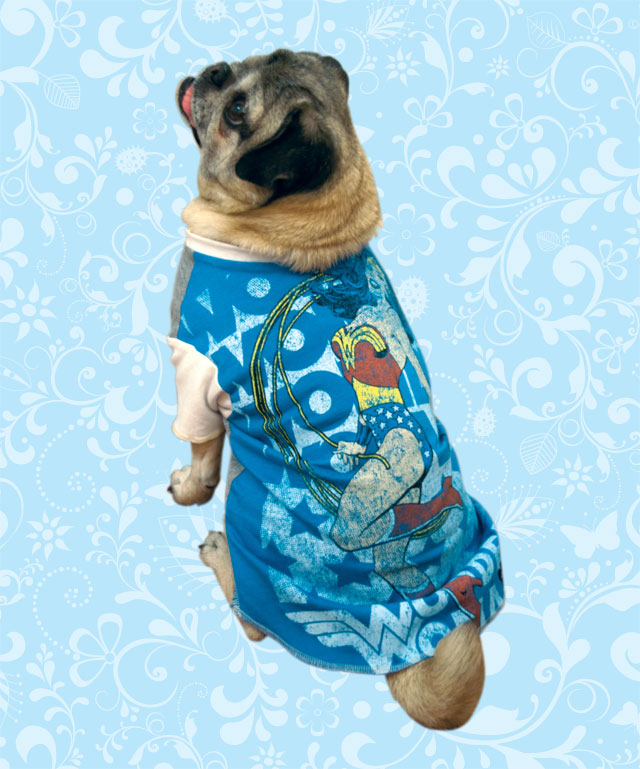 pug palace early easter at the pug palace desperately seeking mamma biscuit pug palace early easter at the pug palace desperately seeking mamma biscuit