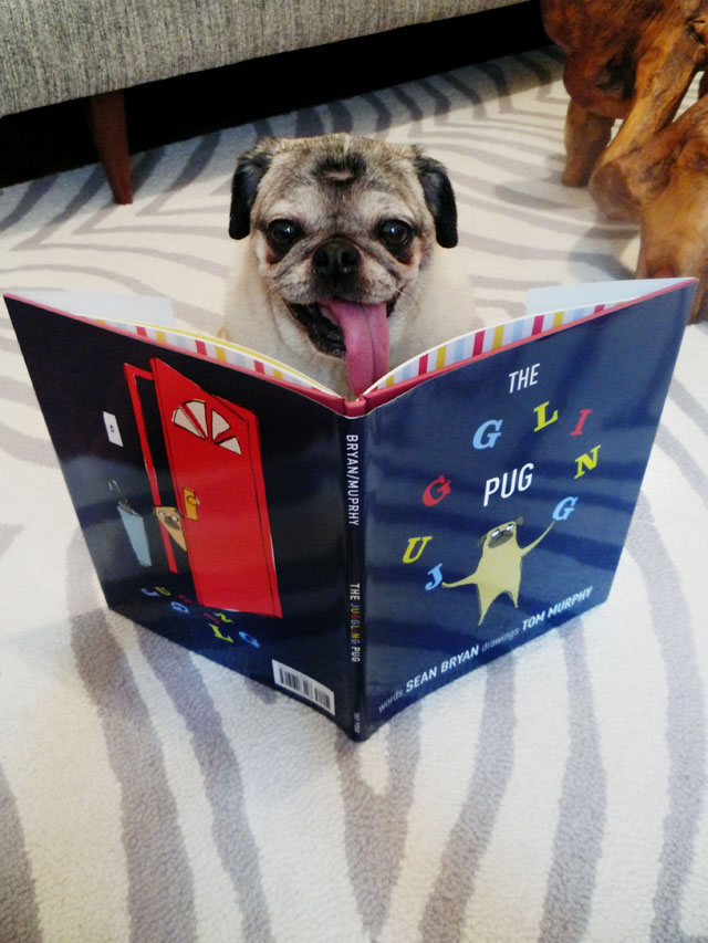 The Juggling Pug
