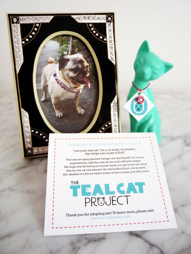 tealcat3
